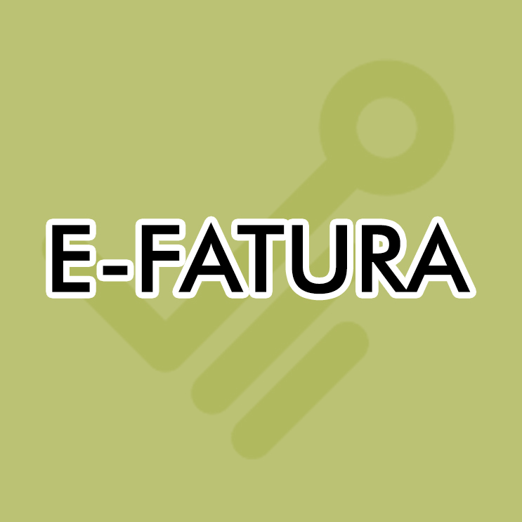 E-Fatura